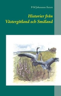 bokomslag Historier från Västergötland och Småland