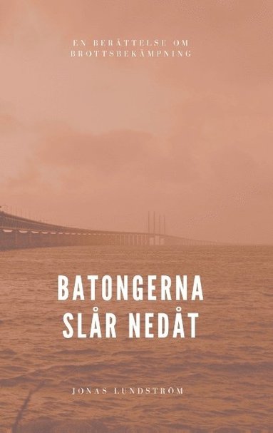 bokomslag Batongerna slår nedåt: En berättelse om brottsbekämpning