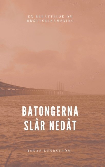 Batongerna slår nedåt: En berättelse om brottsbekämpning