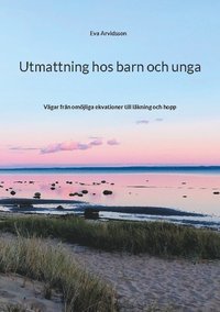 bokomslag Utmattning hos barn och unga : vägar från omöjliga ekvationer till läkning och hopp