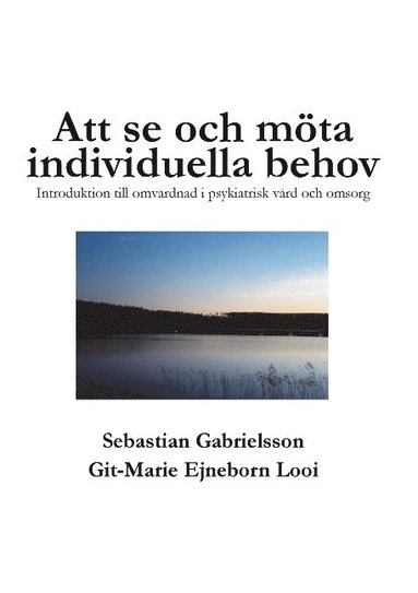 bokomslag Att se och möta individuella behov : introduktion till omvårdnad i psykiatrisk vård och omsorg