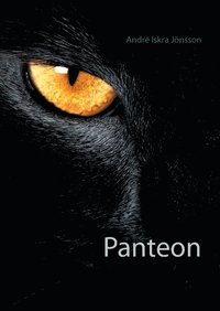 bokomslag Panteon