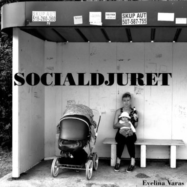 bokomslag Socialdjuret