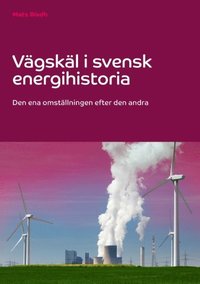 bokomslag Vägskäl i svensk energihistoria : den ena omställningen efter den andra