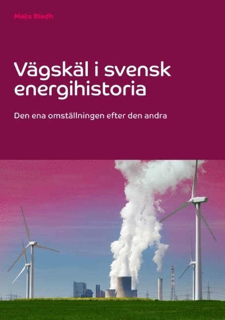 Vägskäl i svensk energihistoria : den ena omställningen efter den andra 1