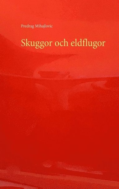 bokomslag Skuggor och eldflugor