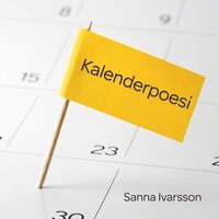 bokomslag Kalenderpoesi : Kalenderpoesi