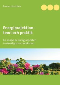 bokomslag Energiprojektion teori och praktik : En analys av energiaspekten i  mänskli
