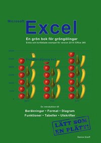 bokomslag Microsoft Excel : en grön bok för gröngölingar - för version 2019 / Office 365