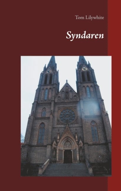 Tom Lilywhite - Syndaren : Syndaren, Inbunden