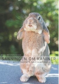 bokomslag Sanningen om kaniner : ett missförstått sällskapsdjur