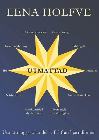 Lena Holfve - Utmattad : fri från hjärndimma, Häftad