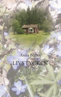 bokomslag Livstycken