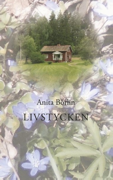 bokomslag Livstycken