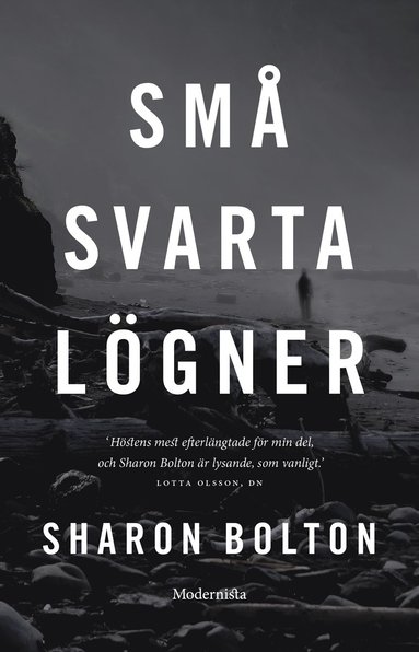 bokomslag Små svarta lögner