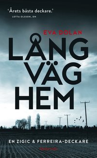 bokomslag Lång väg hem