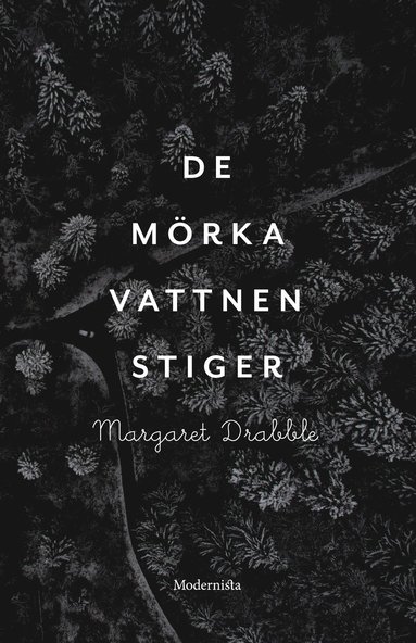 bokomslag De mörka vattnen stiger