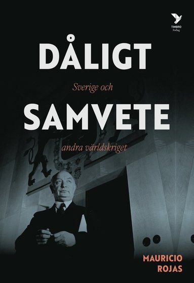 bokomslag Dåligt samvete : Sverige och andra världskriget