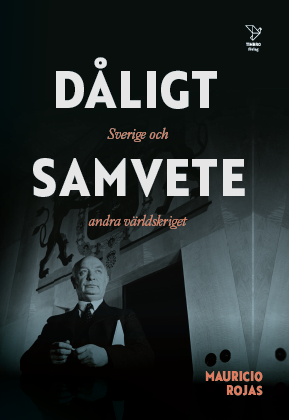 bokomslag Dåligt samvete : Sverige och andra världskriget