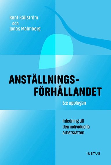 bokomslag Anställningsförhållandet : inledning till den individuella arbetsrätten