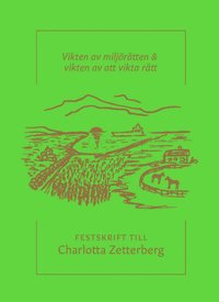 bokomslag Festskrift till Charlotta Zetterberg