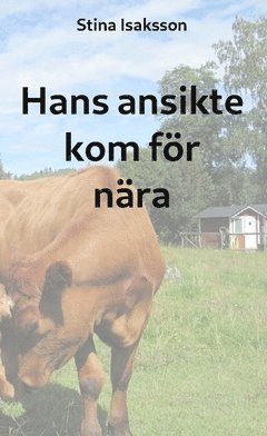 Stina Isaksson - Hans ansikte kom för nära, Häftad