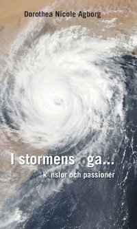bokomslag I stormens öga... : känslor & passioner