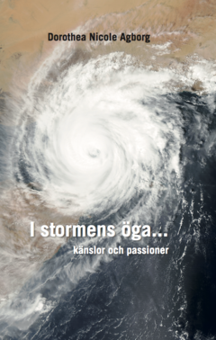 I stormens öga... : känslor & passioner