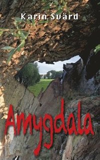 bokomslag Amygdala