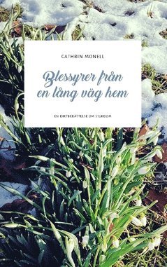 Cathrin Monell - Blessyrer från en lång väg hem : en diktberättelse om sjukdom, Häftad