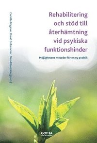 bokomslag Rehabilitering och stöd till återhämtning vid psykiska funktionshinder : Möjlighetens metoder för en ny praktik