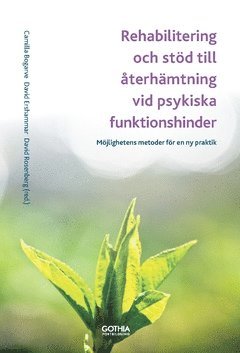 David Ershammar, David Rosenberg, Camilla Bogarve - Rehabilitering och stöd till återhämtning vid psykiska funktionshinder : Möjlighetens metoder för en ny praktik, Häftad