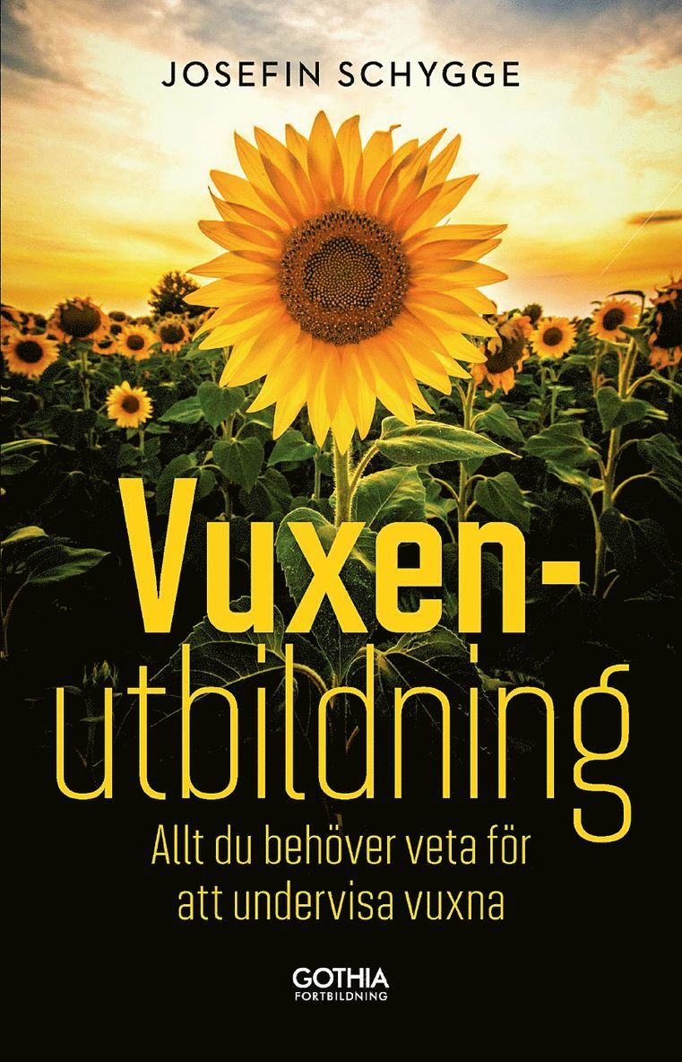 Vuxenutbildning : allt du behöver veta för att undervisa vuxna 1