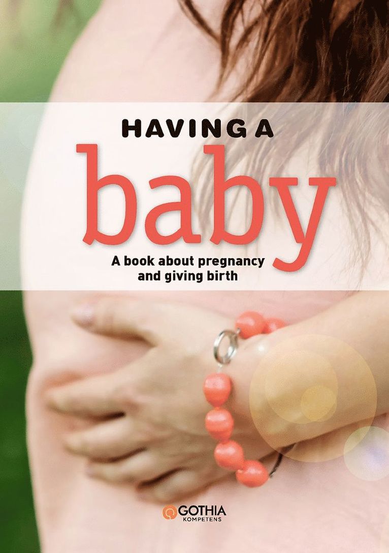 Hanne Fjellvang, Linn Richter - Having a baby : a book about pregnancy and giving birth, Häftad