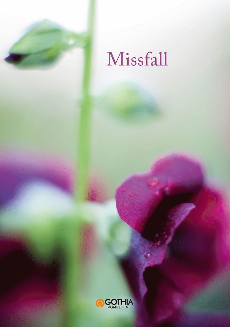 Missfall 1