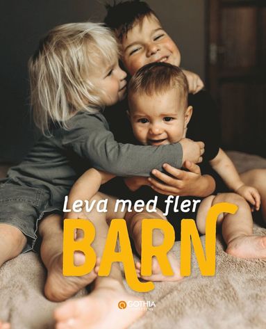 bokomslag Leva med fler barn