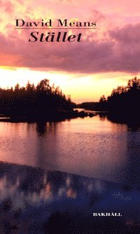 David Means - Stället : noveller, Inbunden