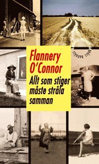 Flannery O'Connor - Allt som stiger måste stråla samman, Inbunden