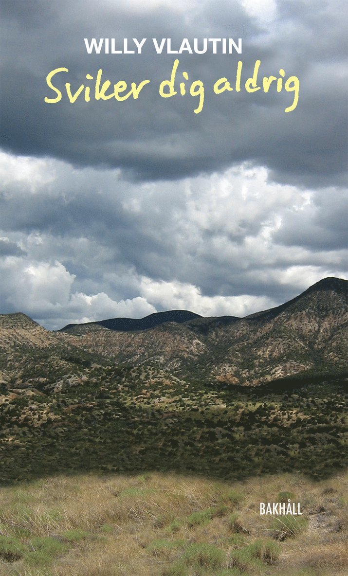 Willy Vlautin - Sviker dig aldrig, Inbunden