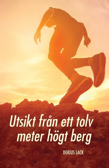 bokomslag Utsikt från ett tolv meter högt berg