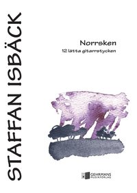 bokomslag Norrsken