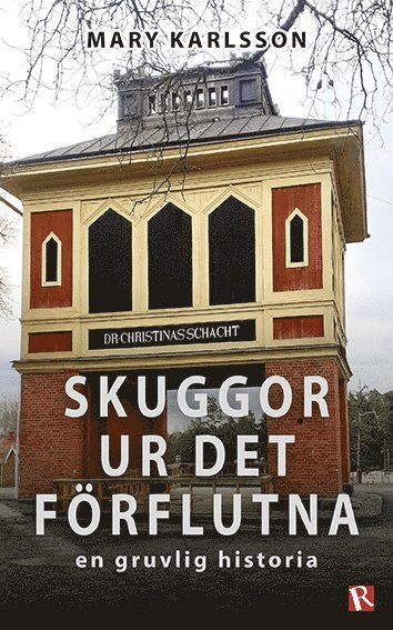 bokomslag Skuggor ur det förflutna : en gruvlig historia