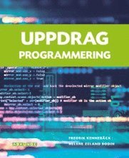 bokomslag Uppdrag programmering