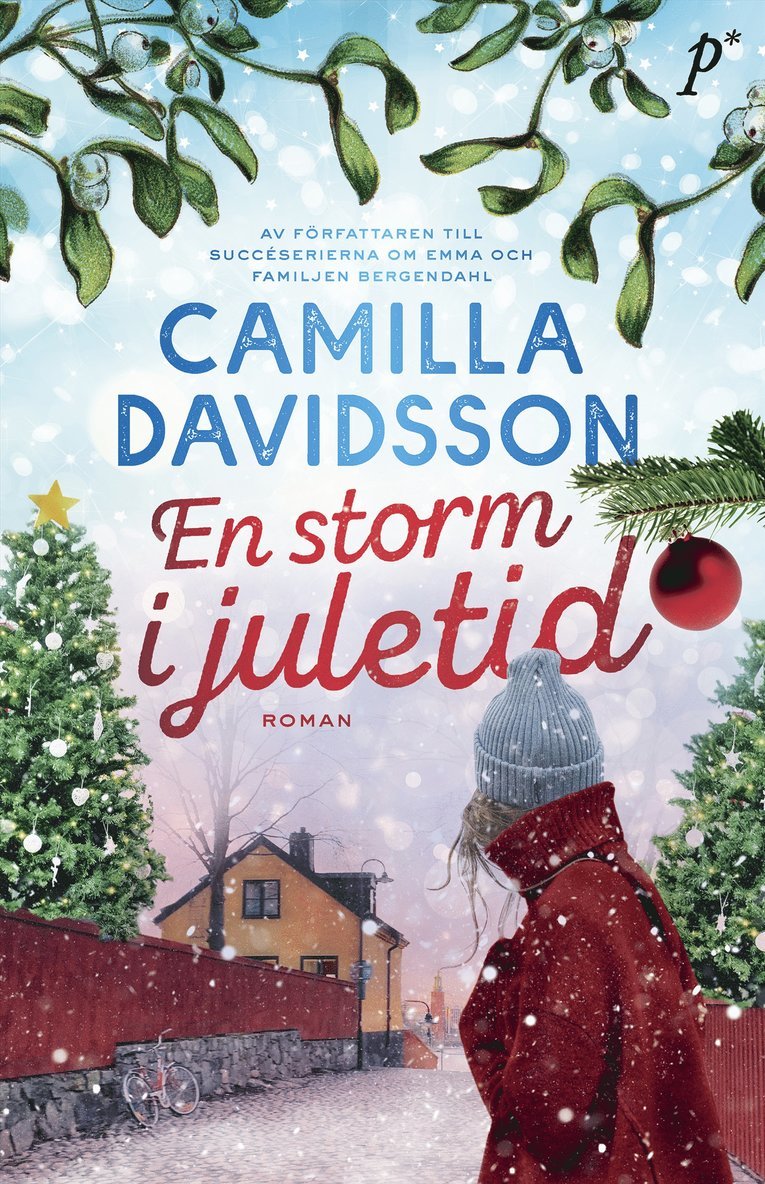 En storm i juletid 1