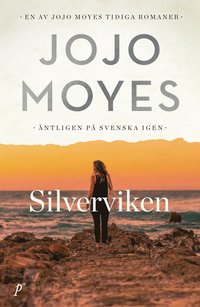 bokomslag Silverviken