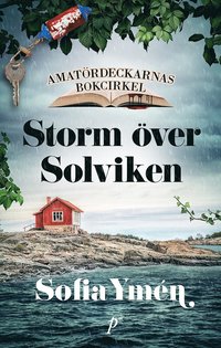 bokomslag Storm över Solviken