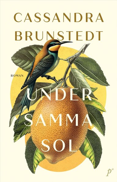 Cassandra Brunstedt - Under samma sol, Inbunden