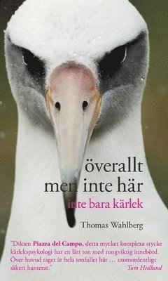 Thomas Wahlberg - Överallt men inte här : inte bara kärlek, Inbunden