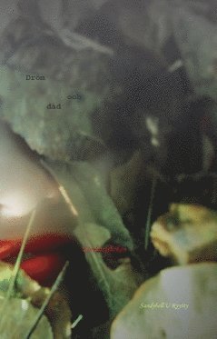 Sandybell U Ryytty - Dröm och dåd : körsbärsflickan, Häftad