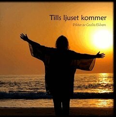 Cecilia Ekhem - Tills ljuset kommer, Häftad